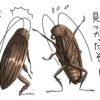 ゴキブリが井戸端会議しているところ